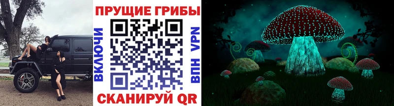 Галлюциногенные грибы GOLDEN TEACHER  дарнет шоп  Афипский 